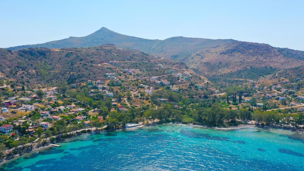 Villa Harmonia Aegina المظهر الخارجي الصورة